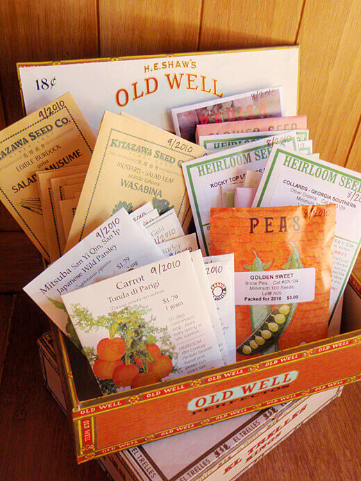 New seeds for fall