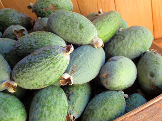 Fresh feijoas