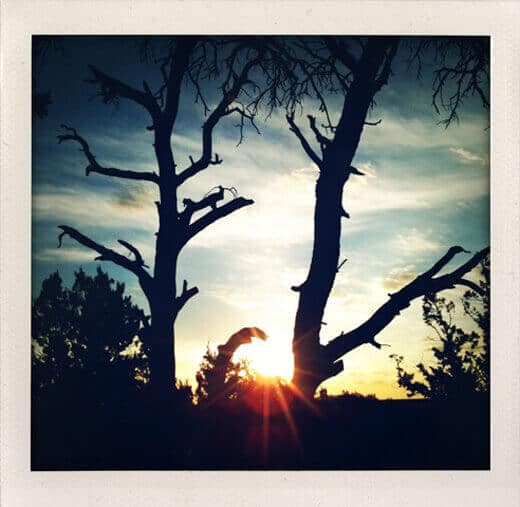 Sunset in Arizona