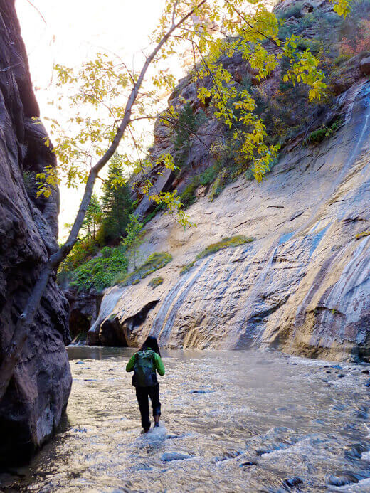 Hiking the Zion Narrows