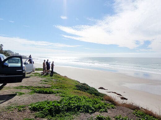 Surf-scoping mission
