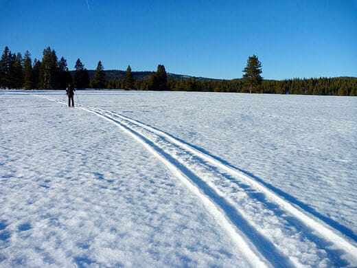 Cross-country skiing at Prosser Meadows