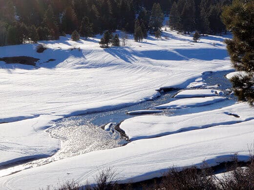 Prosser Creek