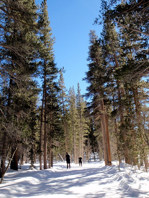 Cross-country skiing at Rock Creek