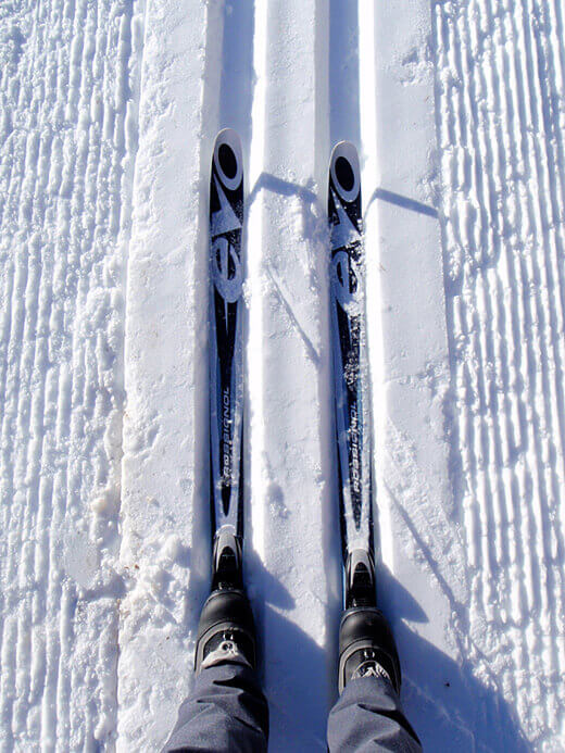 Cross-country skiing at Rock Creek
