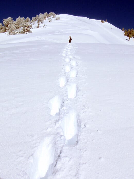 1,000 feet of post-holing up to James Peak