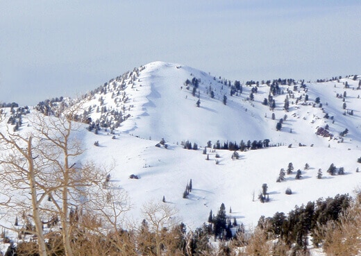 2,000 feet vertical of untracked powder