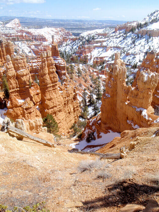 Sandstone hoodoos