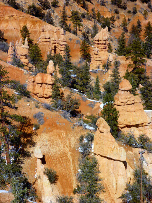 Sandstone hoodoos