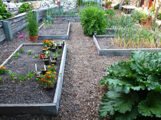 Main level of vegetable garden