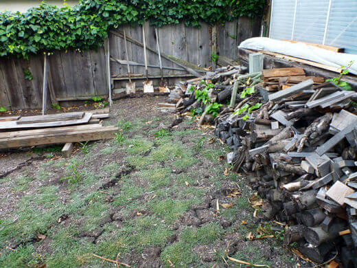 Weedy lower yard