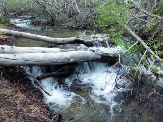 Sherwin Creek