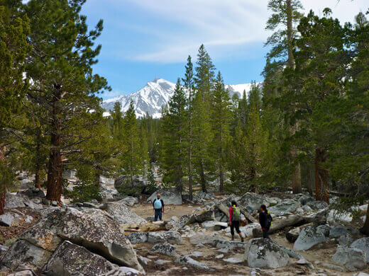 Continuing onto Valentine Lake Trail