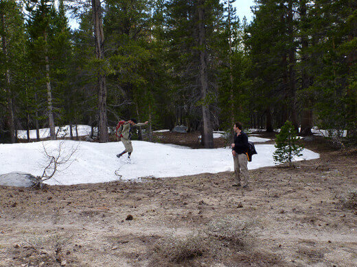 Little snow mounds left over from spring