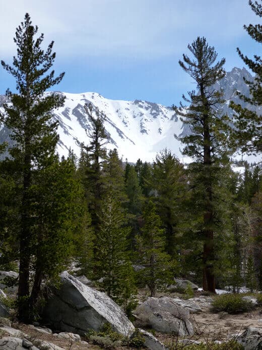Snowy couloirs for days
