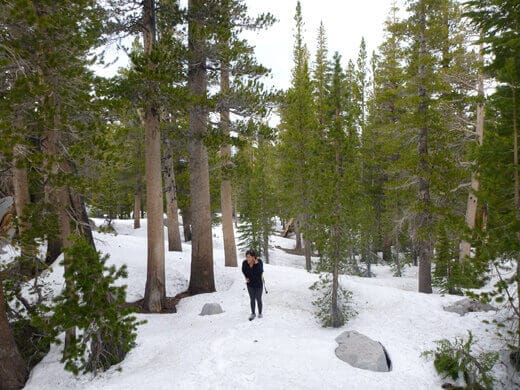 A snow-covered John Muir Wilderness