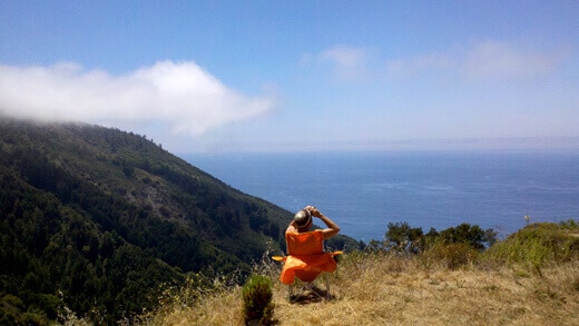Falcon watching in Big Sur