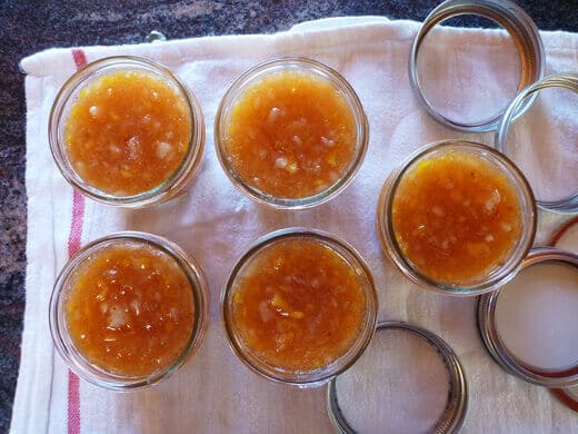 Ladle the preserves into jars