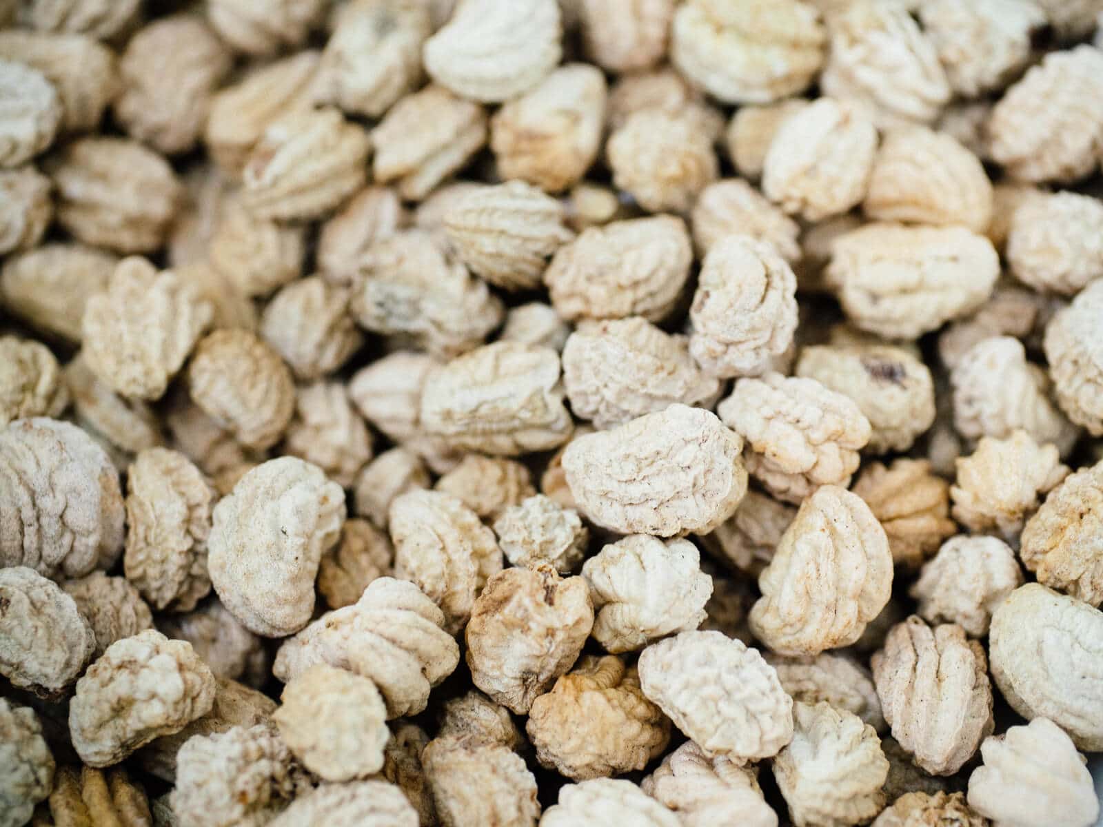 Saving nasturtium seeds