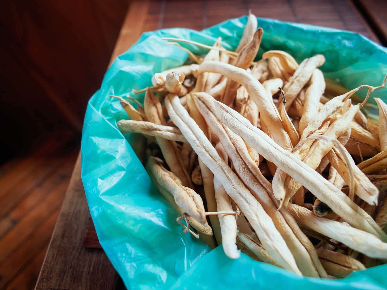 Dried bean pods