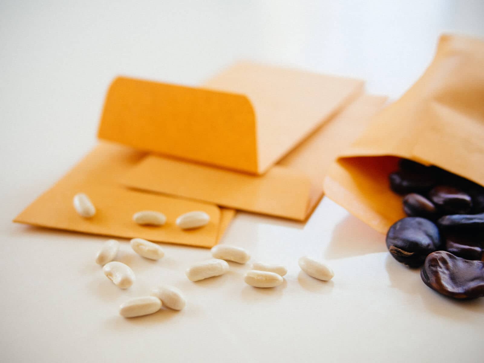 Save and store seeds in paper coin envelopes