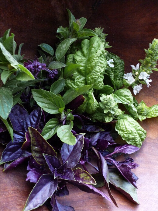 A medley of basil from the garden