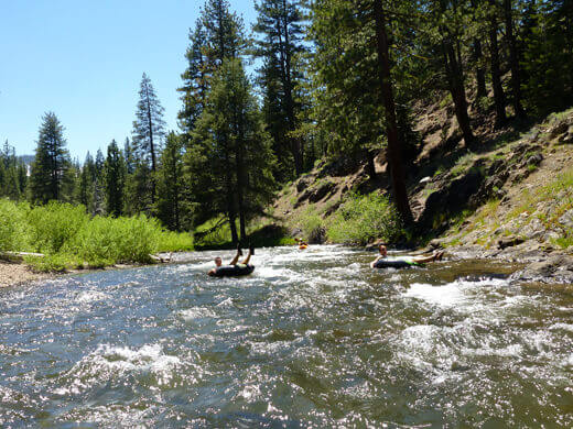 Shimmering riffles on the Truckee River