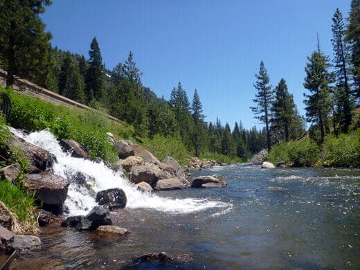Ice cold creeks gushing into the Truckee River