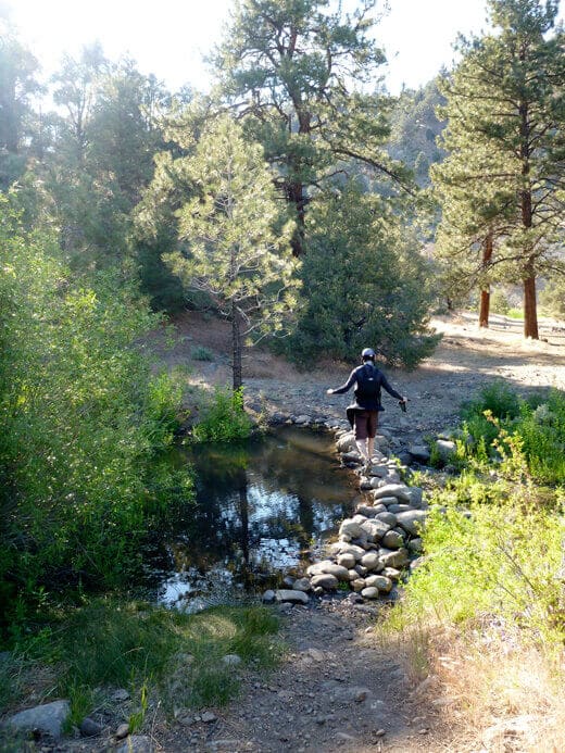 Camping on the East Fork Carson River