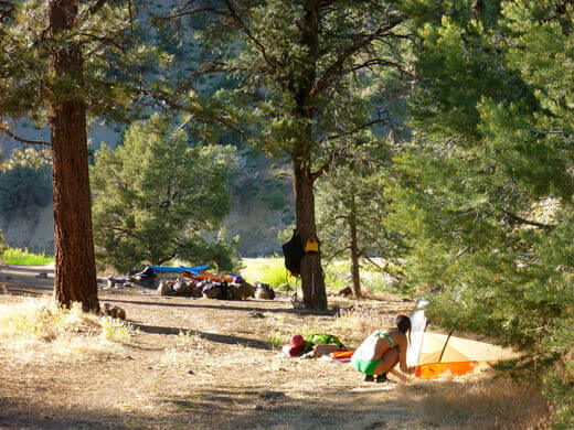 Camping on the East Fork Carson River