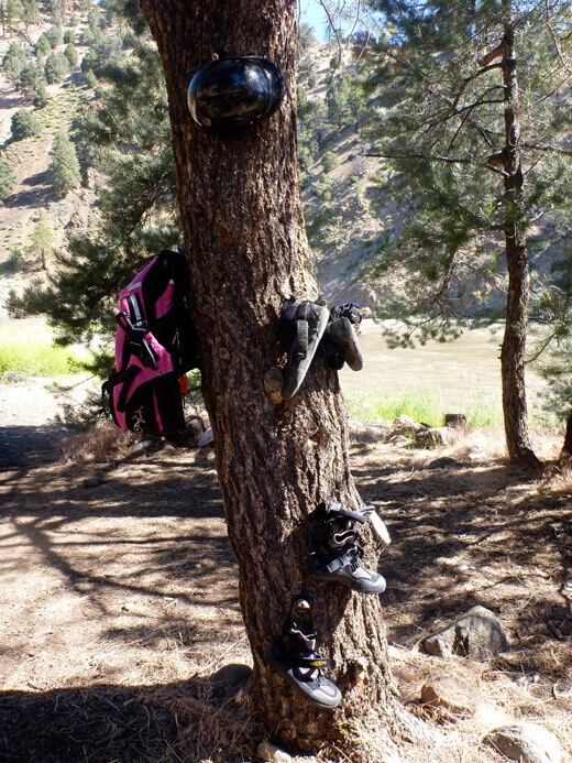 Camping on the East Fork Carson River