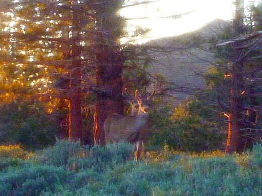 Two visitors at camp