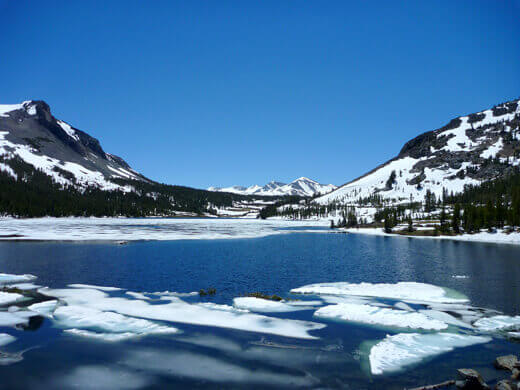 Tioga Lake in July