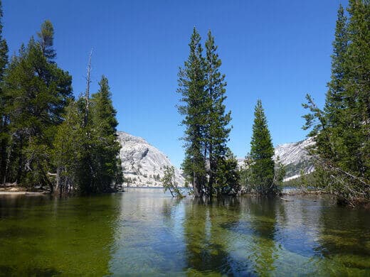 Flooded Tenaya Lake trail