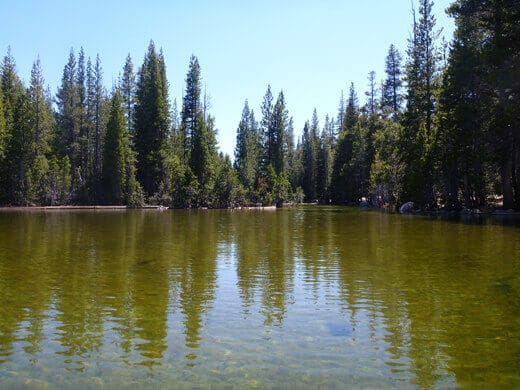 Flooded Tenaya Lake trail