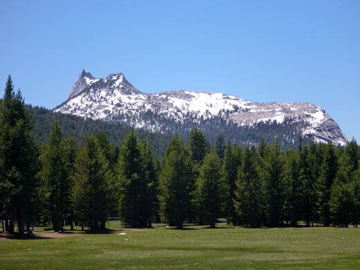 Cathedral Peak looming over Tuolumne Meadows