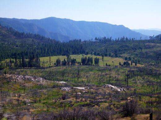 Driving through the High Sierra