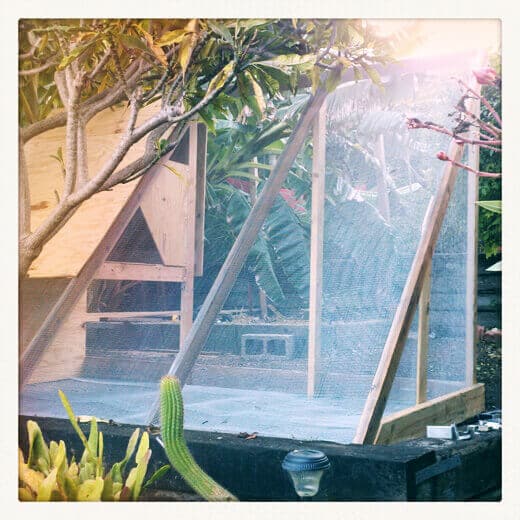 Chicken coop in progress