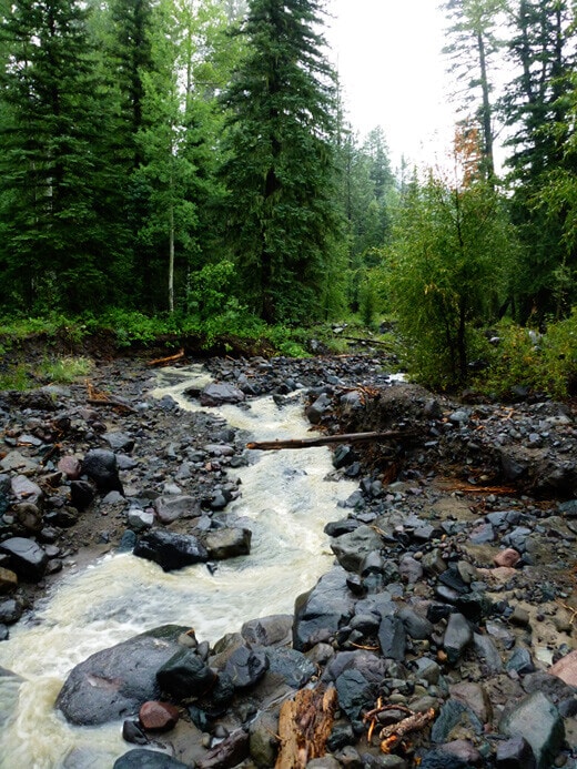 Rocky, fast-flowing creek
