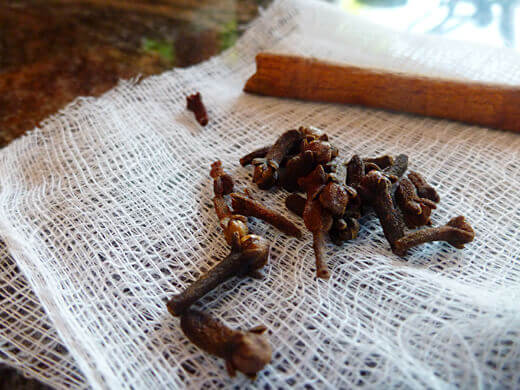 Bundle and tie cinnamon stick and cloves into a cheesecloth satchel