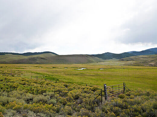 Verdant Colorado farmland