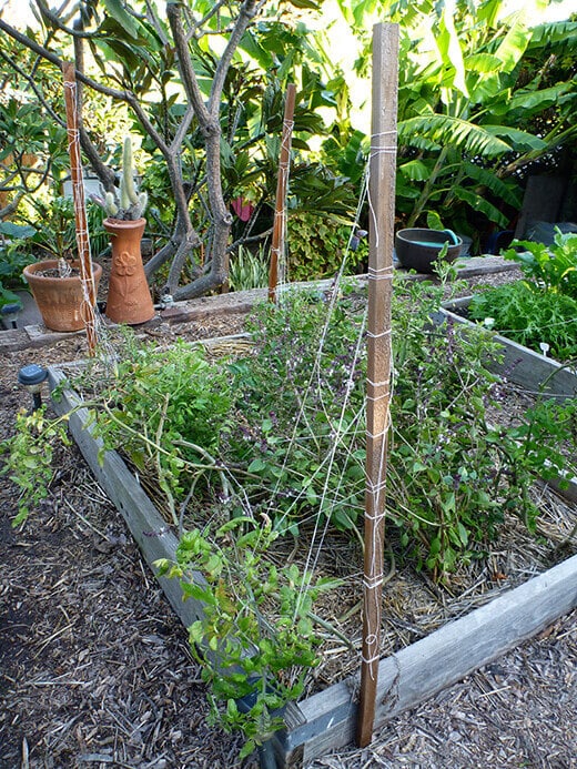 Disassembling Florida weave trellises