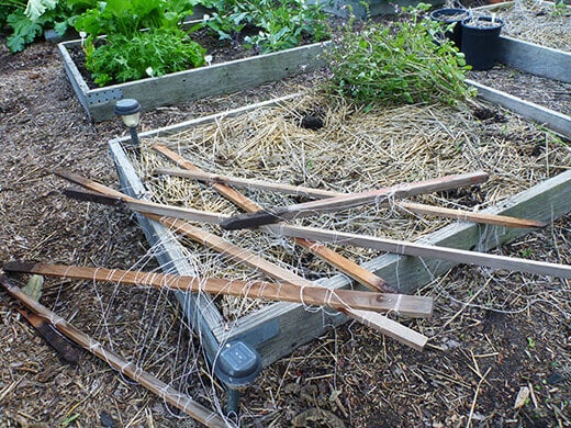 Disassembling Florida weave trellises