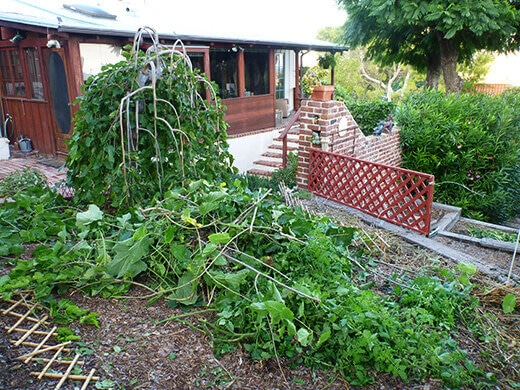 Cleaning up the yard