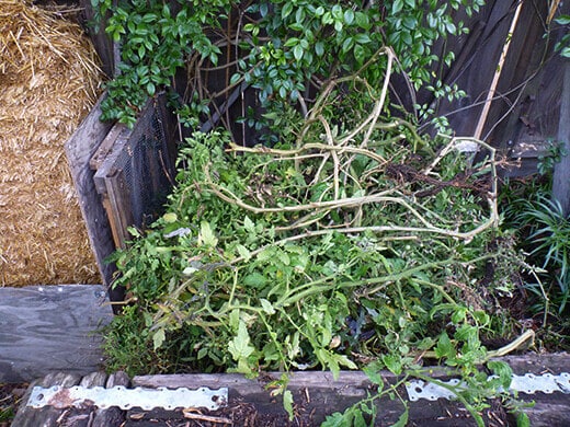 Piling up plants in the compost area