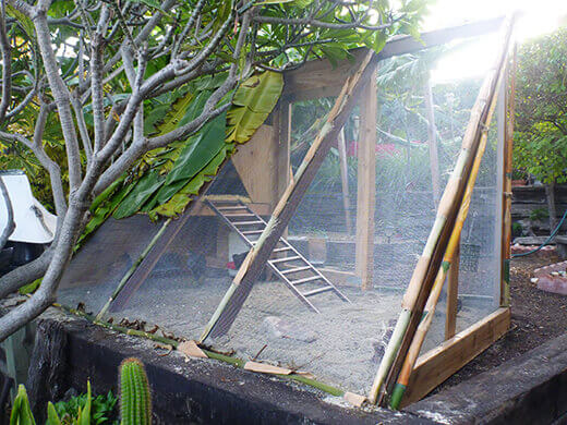 The Garden Betty tiki coop