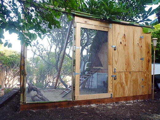 The Garden Betty tiki coop