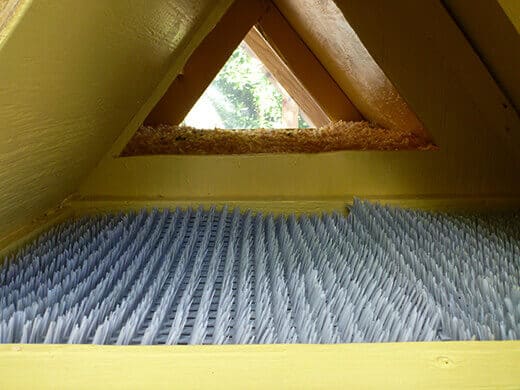 Plastic nest pads inside the egg box