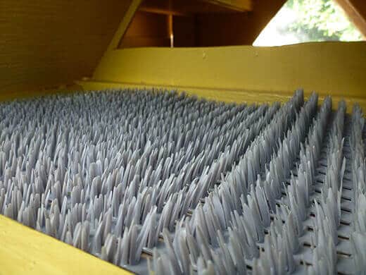 Plastic nest pads inside the egg box