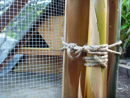 Bamboo stalks tied with jute twine